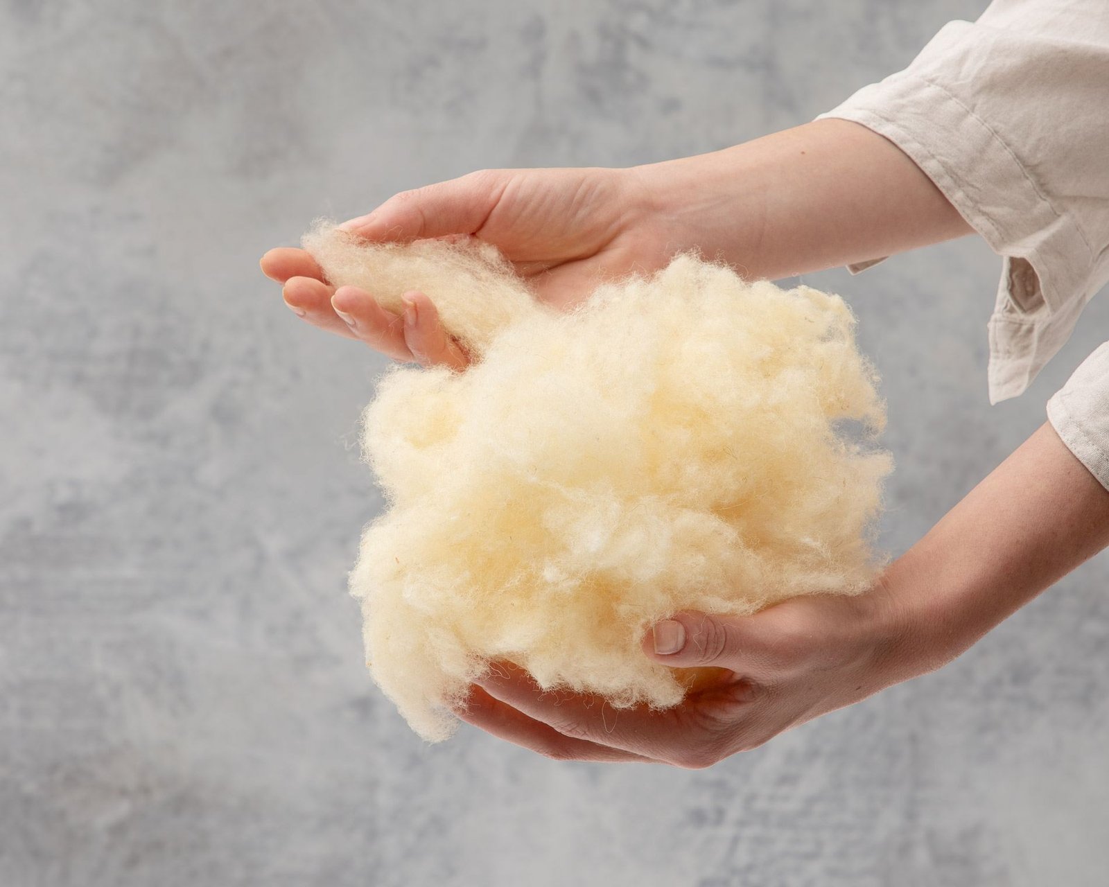 Natural wool fibre up close